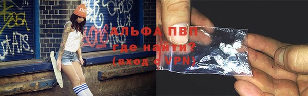 шишки Магадан