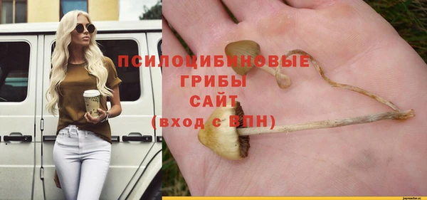 2c-b Лиски